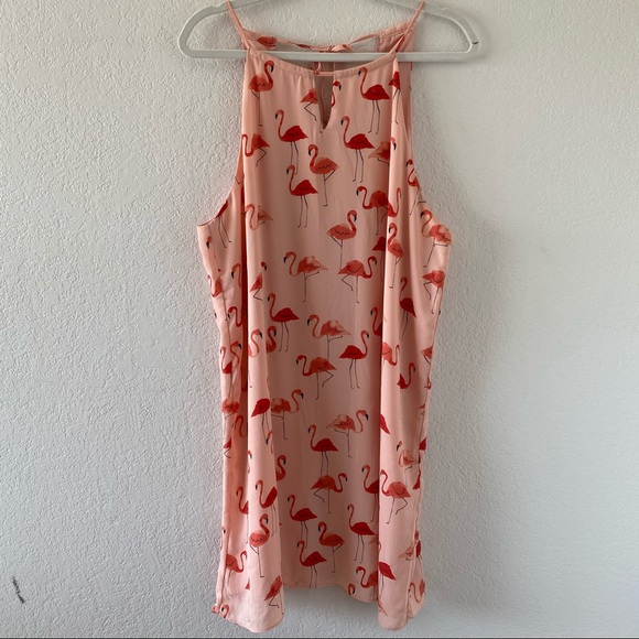 ❗️sold❗️Flinn & Grace Flamingo Print Dress - Picture 3 of 9